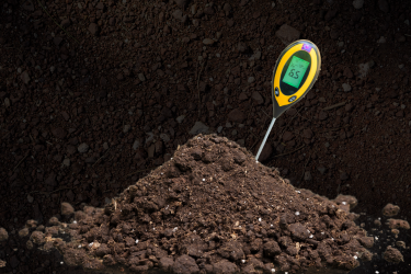 Microbial activity in soil